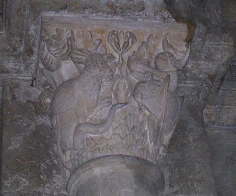 animaux-nord