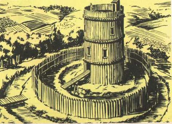 36