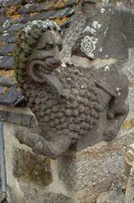 lion