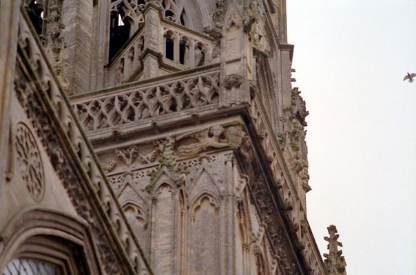 details-