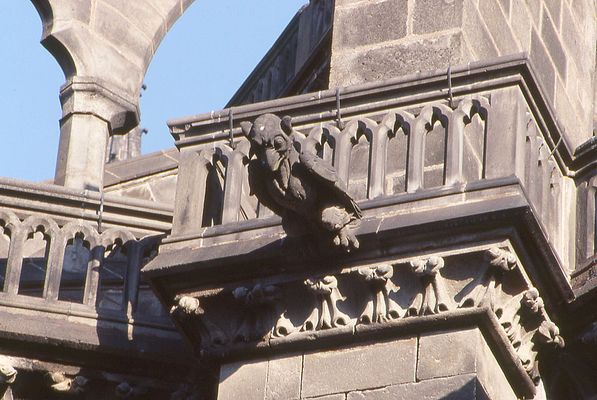 gargouille