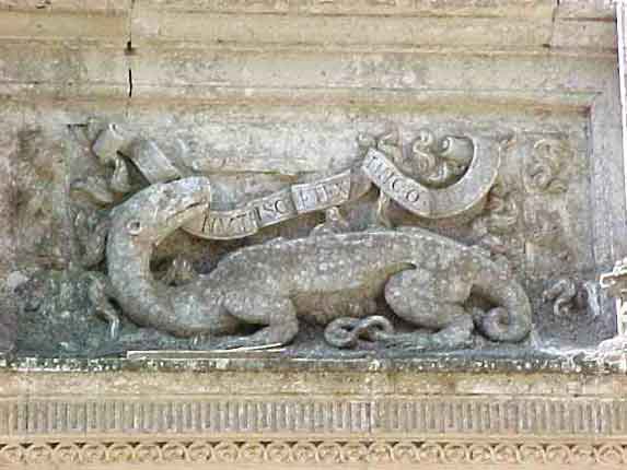 salamandre