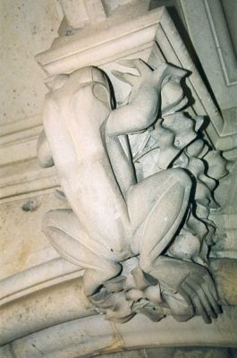salamandre-