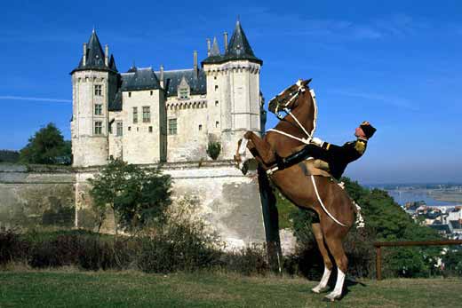 courbette