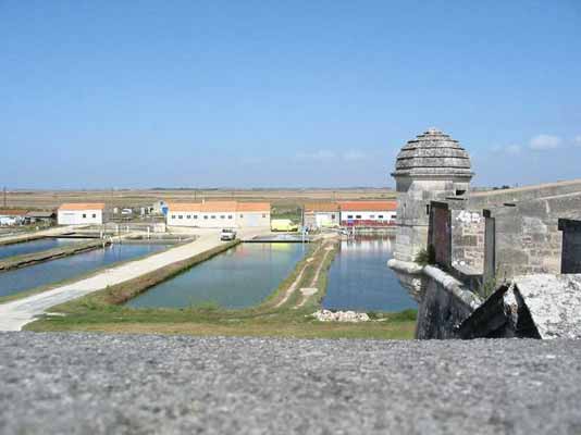 les-bassins